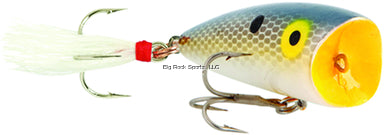 Rebel Teeny POP-R, 2", 1/8 oz, Foxy Shad