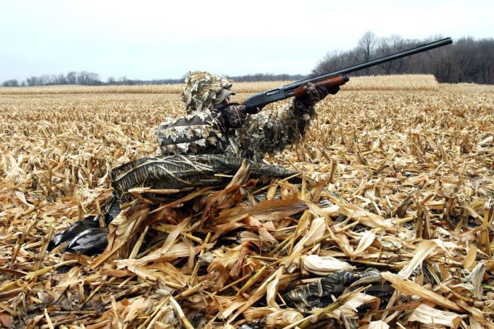 Beavertail Sniper Layout Blind
