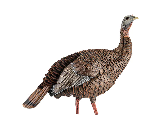 Avian-X AVX8106 HDR Hen Turkey Decoy, 2 Removable Heads, Integrated Stake, Decoy Bag