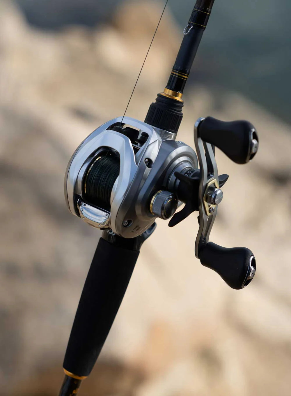 Daiwa AIRD 80h Baitcast Reel