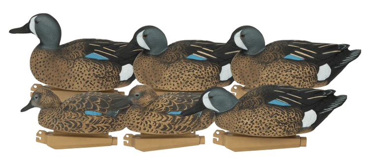 GHG Pro-Grade Blue-Winged Teal Decoys 1/2 doz