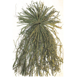 Beavertail Ghillie Bundles Natural Raffia Grass Green