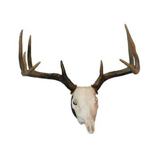 Hunters Specialties EURO DEER SKULL MOUNT KIT