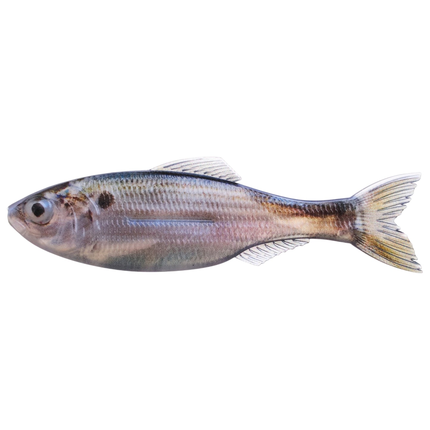 6th Sense Fishing Panorama Swimbait 5"