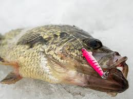 Northland Tackle Bro Bug Spoon