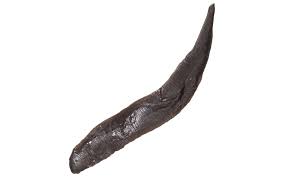 Magic Preserved Leeches 8oz Bag