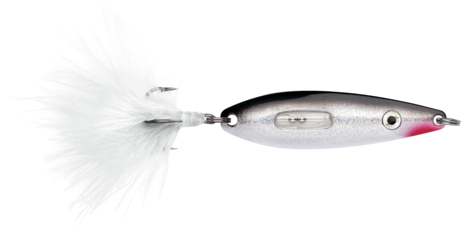 VMC Rattling roach