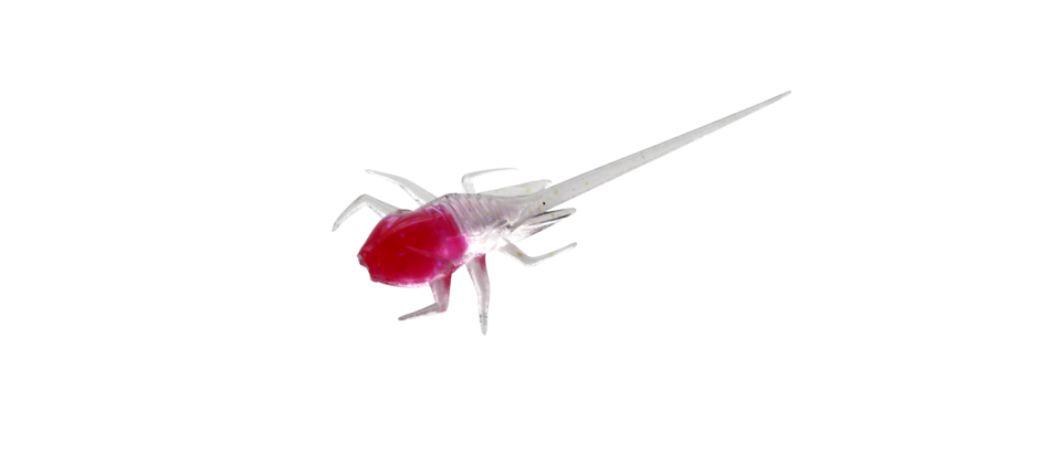 13 Fishing BAMF Soft Plastic Baits
