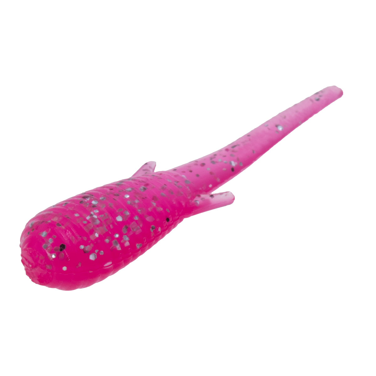 Clam Niku Soldier Fly