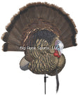Avian-X Trophy Tom Turkey Decoy