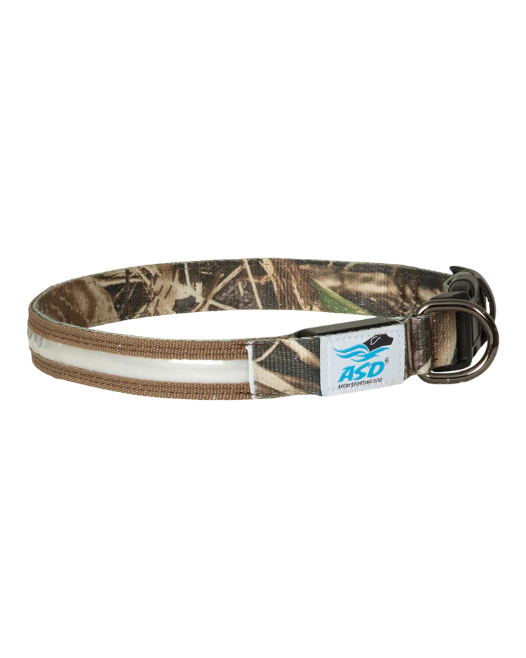 AVERY SPORTING DOGS Lighted Collar