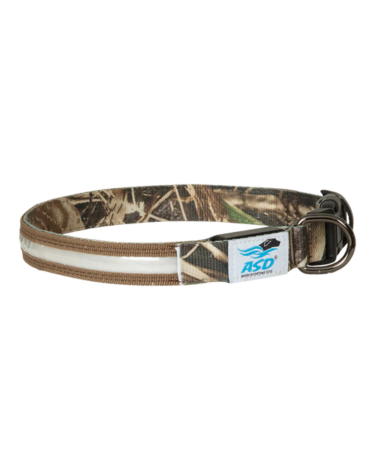 AVERY SPORTING DOGS Lighted Collar