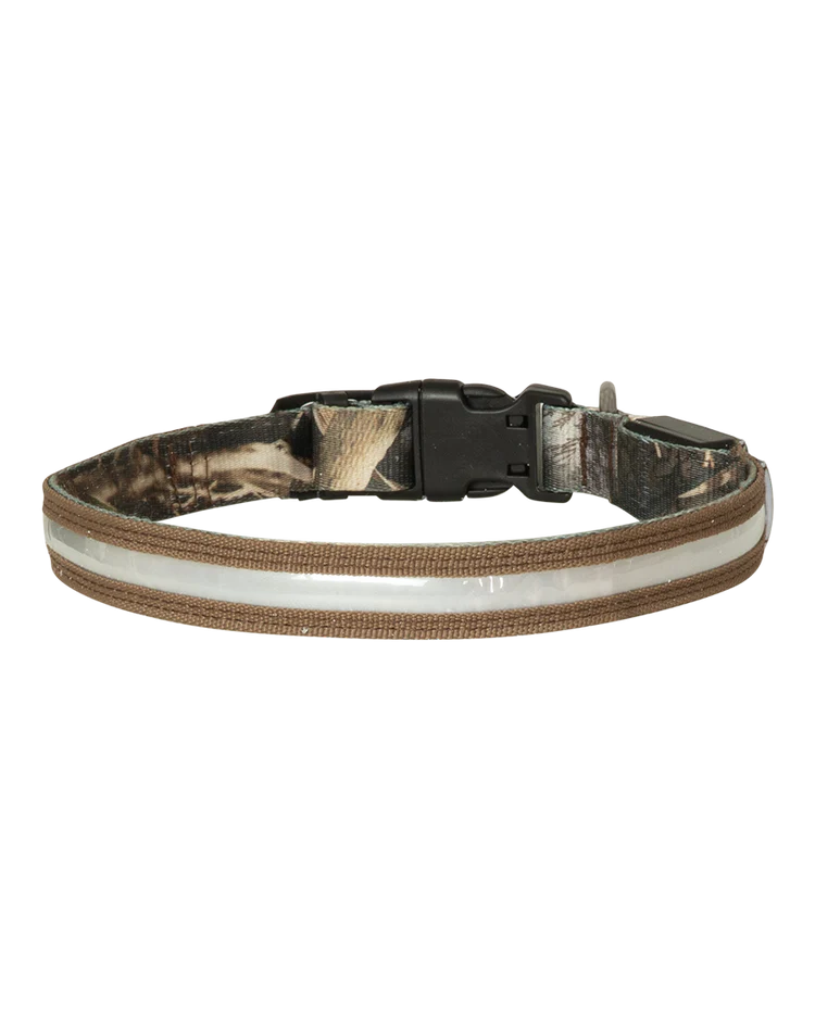 AVERY SPORTING DOGS Lighted Collar