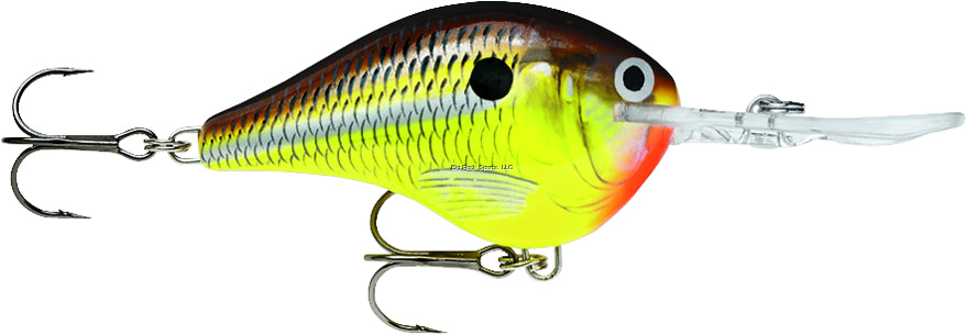 Rapala DT Dives To Crankbait