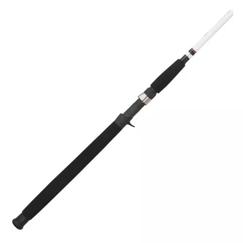 Berkley Big Game Casting Rod