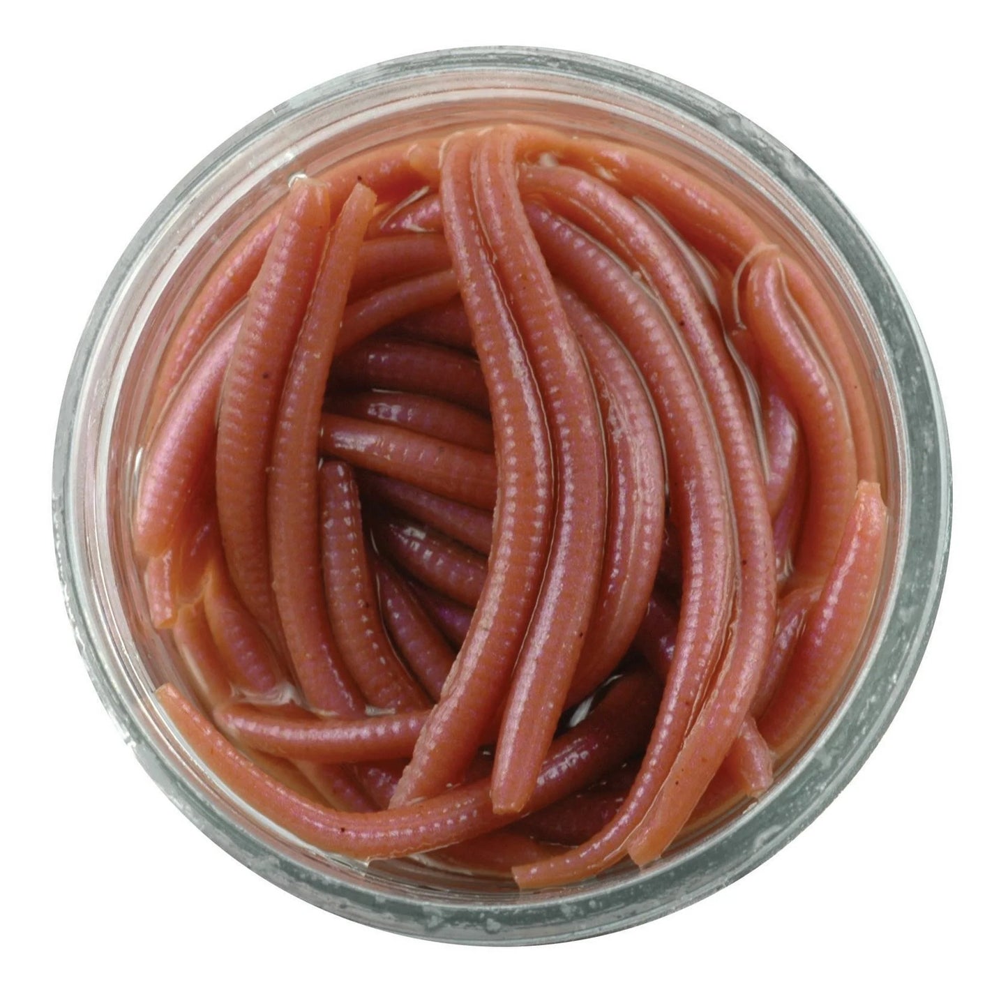 BERKLEY GULP ALIVE Angle Worm
