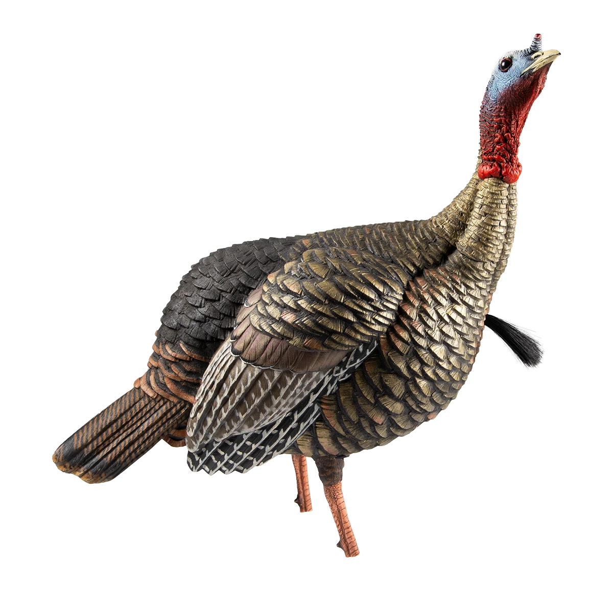 Avian X HDR Turkey Decoy