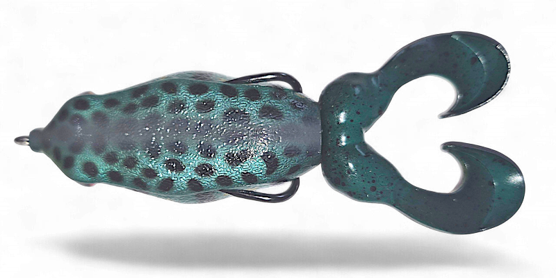 Gambler The Swimming Frog