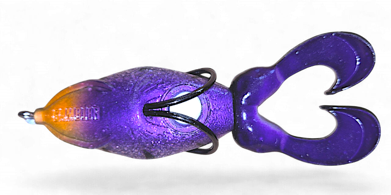 Gambler The Swimming Frog