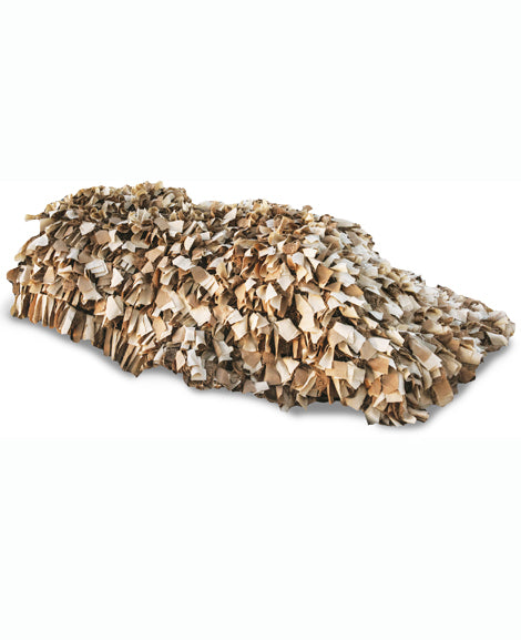 Beavertail Blanket Couverture