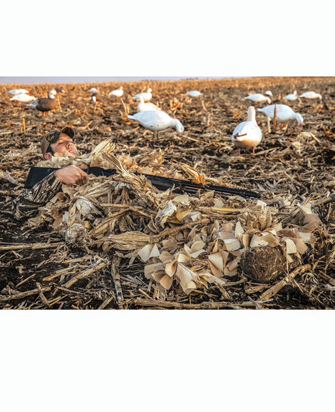 Beavertail Blanket Couverture