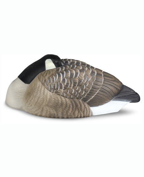Beavertail DOA Decoys Rouge Series  Sleeper Shell 12-Pk