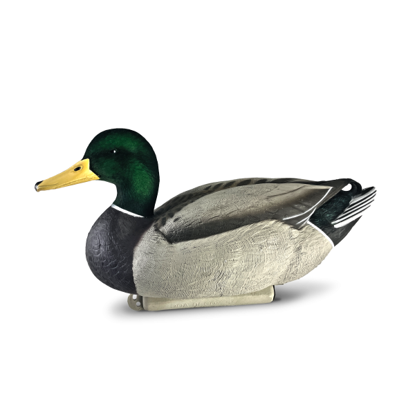 Beavertail DOA Cowboy Pack Flocked Head Mallards decoy
