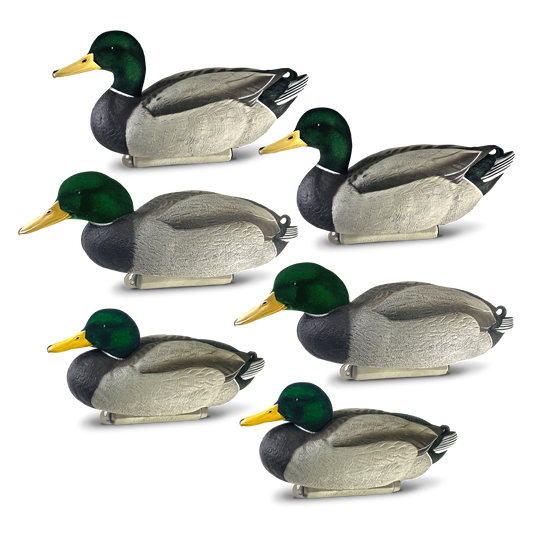 Beavertail DOA Cowboy Pack Flocked Head Mallards decoy