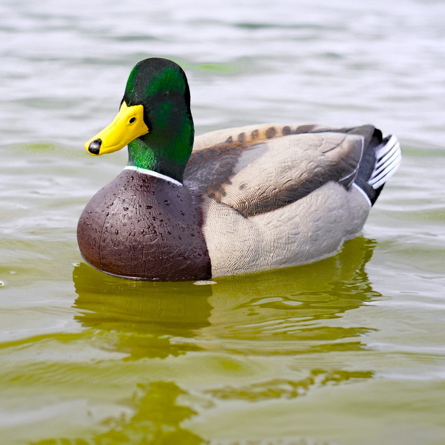 Beavertail DOA Cowboy Pack Flocked Head Mallards decoy