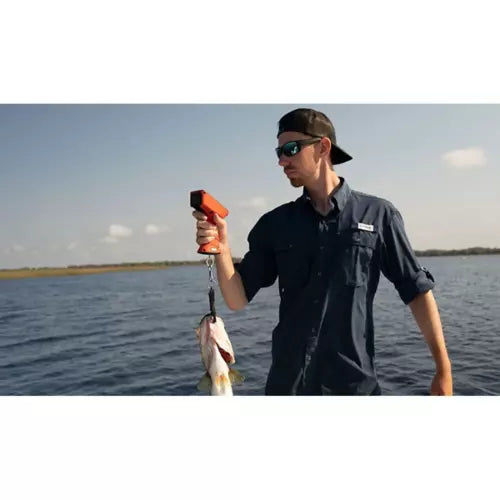 Bubba Smart Fish Scale