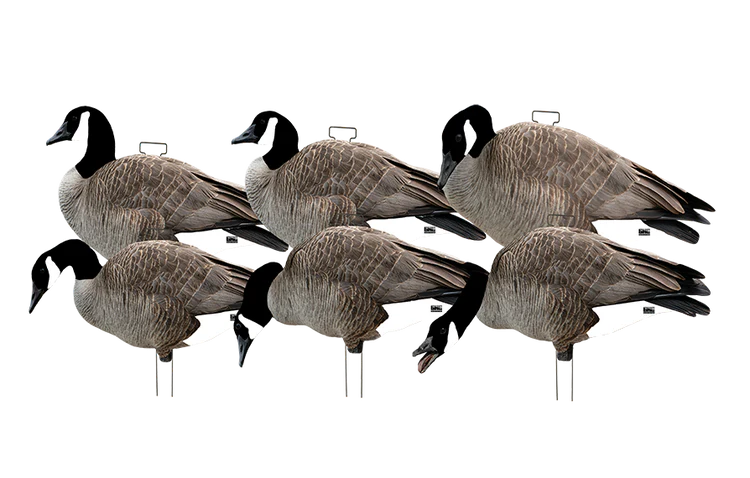 GHG Pro-Grade Silhouette Canada Goose Decoys