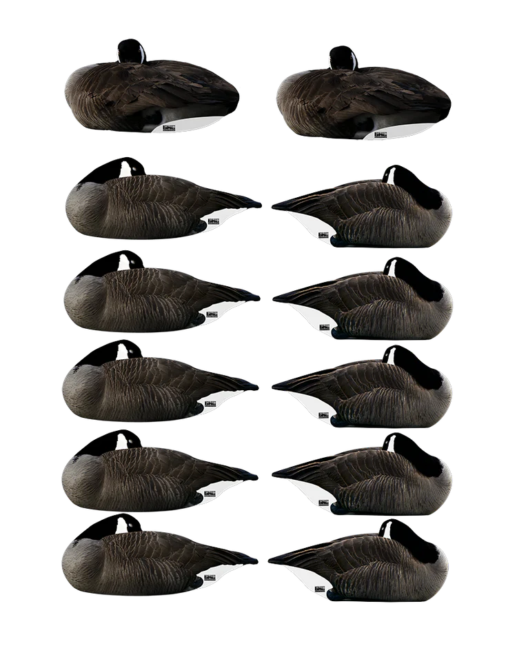 GHG Pro Grade Silhouette Decoys - "Deep Sleep Pack" Canada Goose Sleepers w/flocked heads