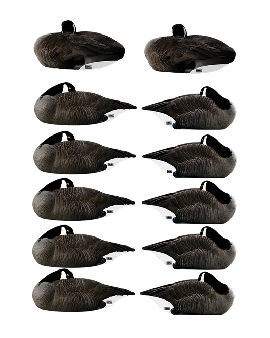 GHG Pro Grade Silhouette Decoys - "Deep Sleep Pack" Canada Goose Sleepers w/flocked heads