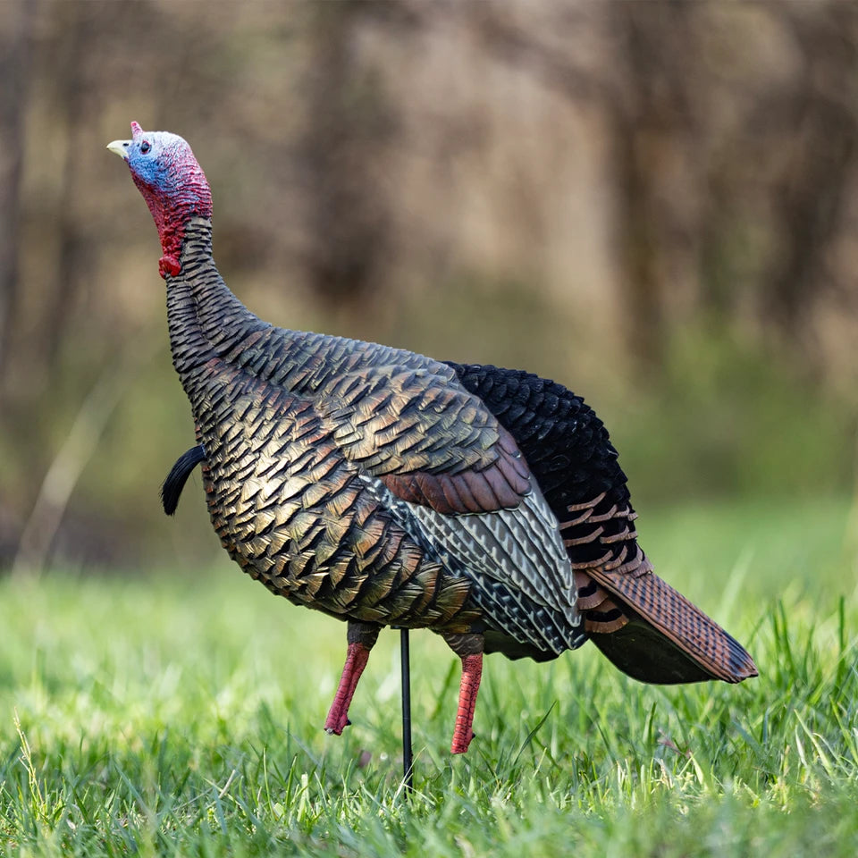 Avian X HDR Turkey Decoy
