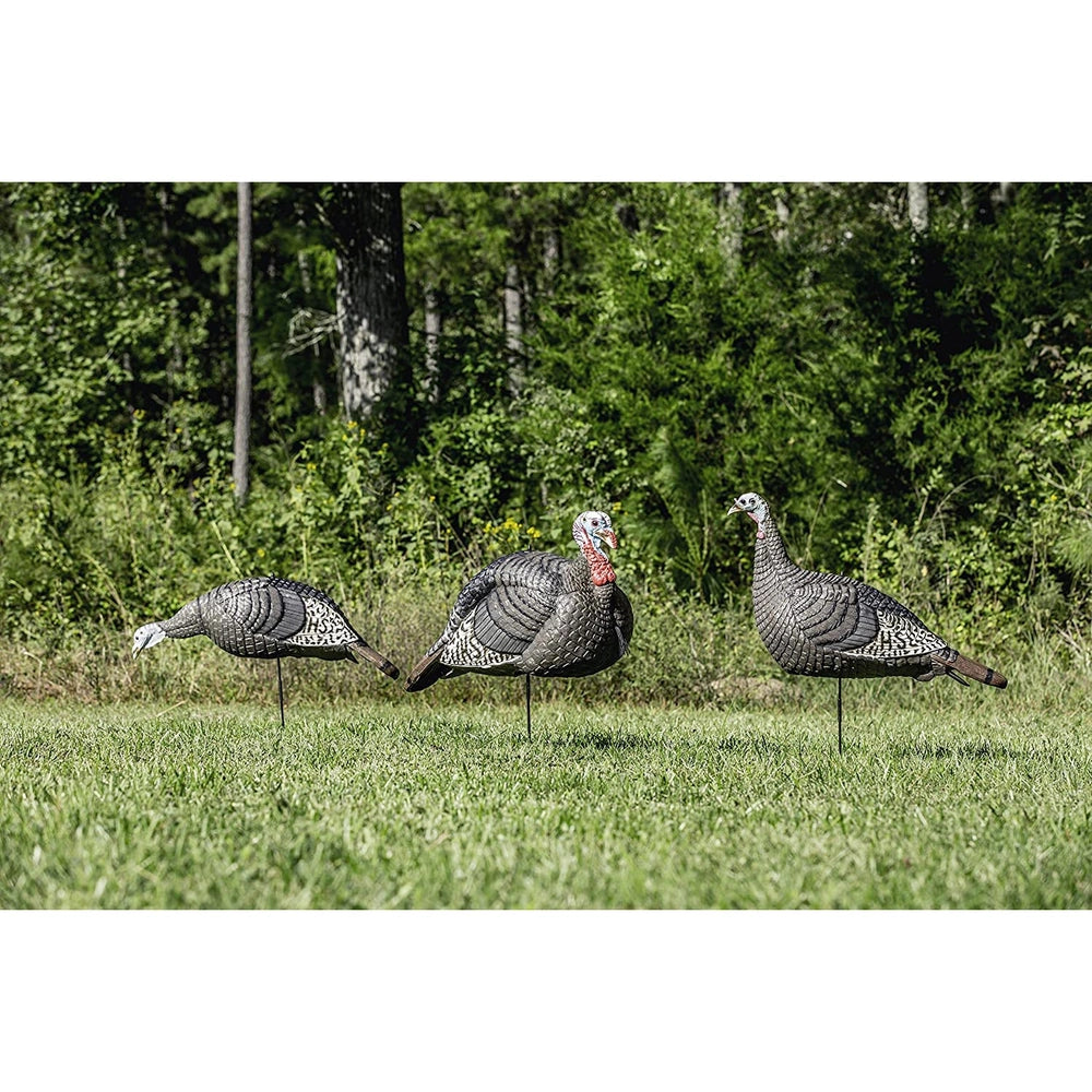 Hunters Specialties HS STRUT Lite Flock Decoy, 3-Pack