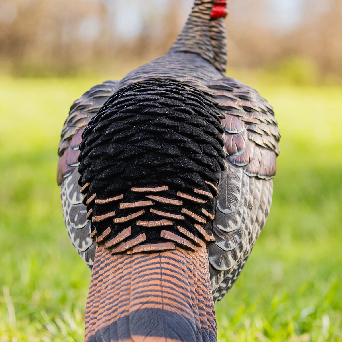 Avian X HDR Turkey Decoy
