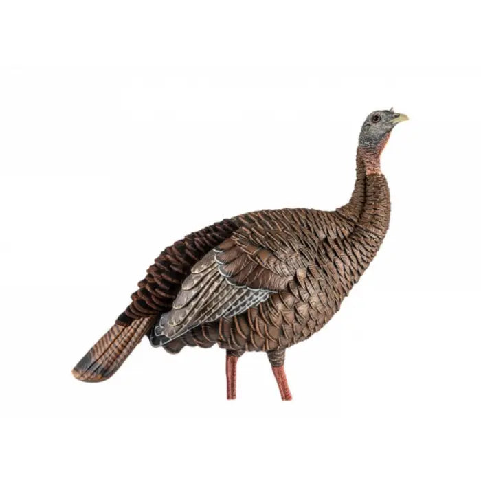 Avian X HDR Turkey Decoy