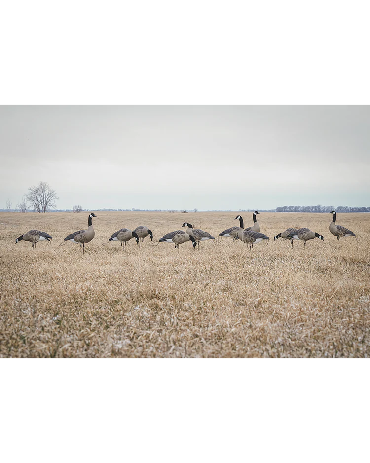 GHG Pro Flex Full Body Goose Decoy - Honker Harvester Pack