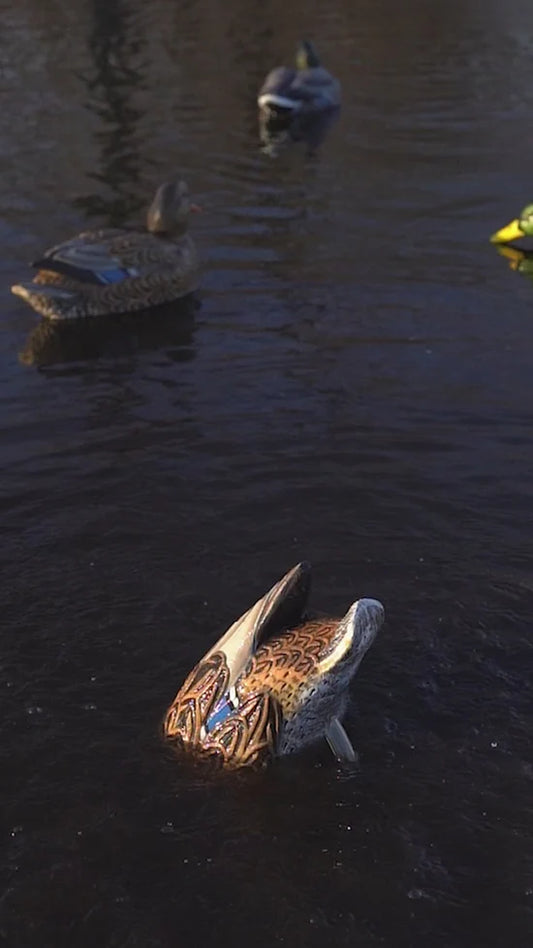 GHG Finisher Spitter Motion Drake & Hen