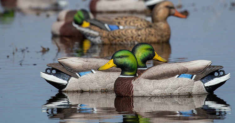 GHG Pro-Grade XD Series Mallard Decoys - Harvester 6-Pack