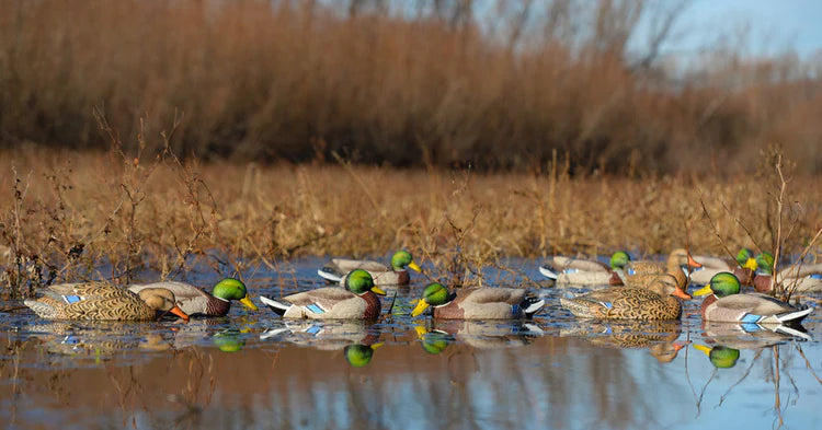 GHG Pro-Grade XD Series Mallard Decoys - Harvester 6-Pack