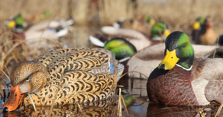 GHG Pro-Grade XD Series Mallard Decoys - Harvester 6-Pack