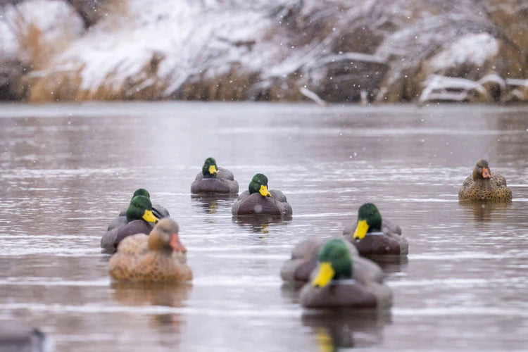GHG Pro Grade XD Series Mallards w/flocked heads - Harvester Pack