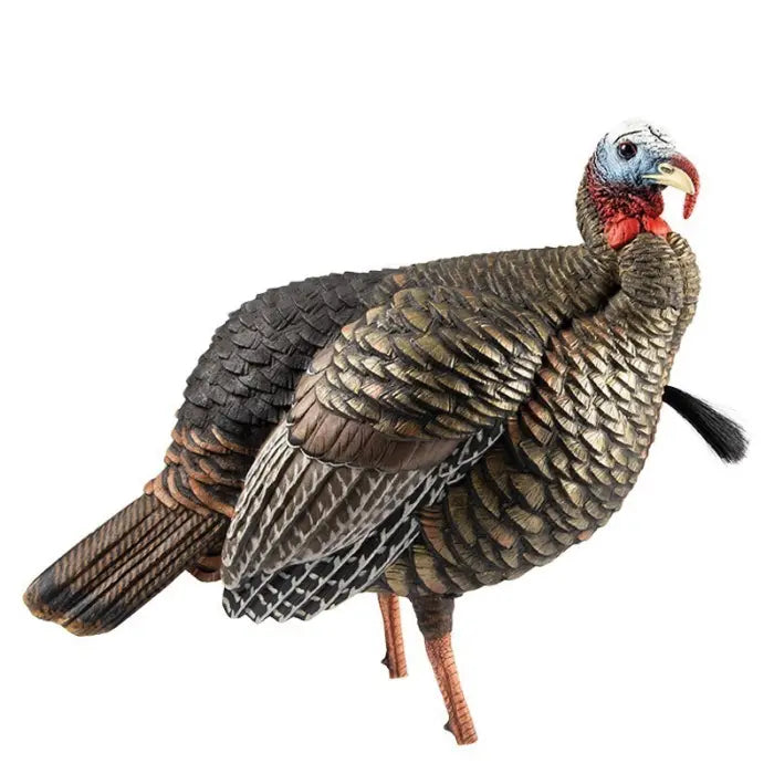 Avian X HDR Turkey Decoy