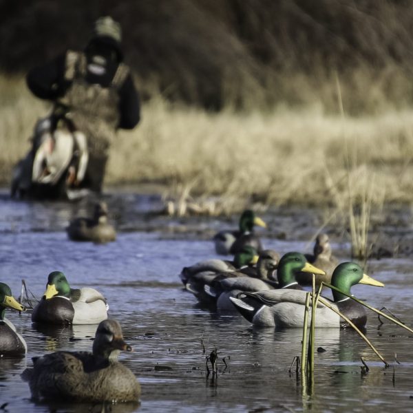 Beavertail DOA Decoy Co Refuge Series Mallard Floater 6pk
