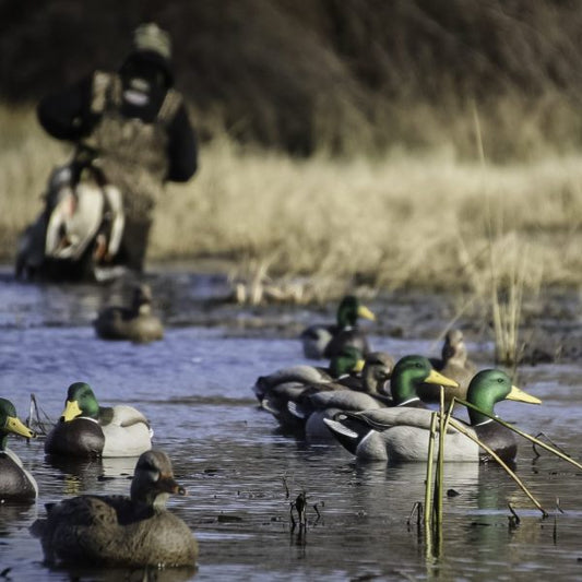 Beavertail DOA Decoy Co Refuge Series Mallard Floater 6pk