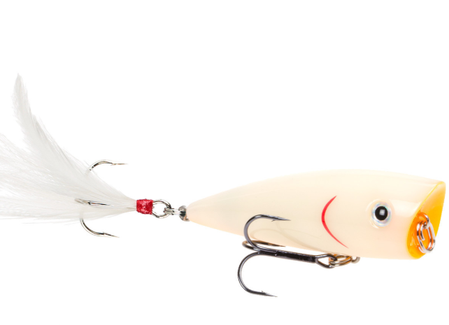 Strike King KVD Splash Jr Topwater