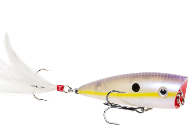 Strike King KVD Splash Jr Topwater