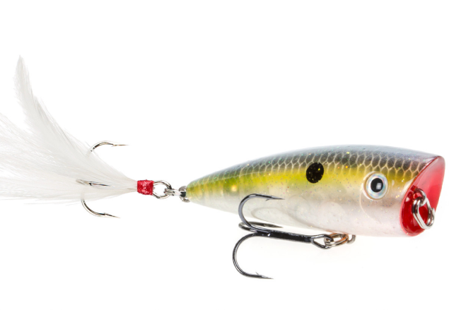 Strike King KVD Splash Jr Topwater