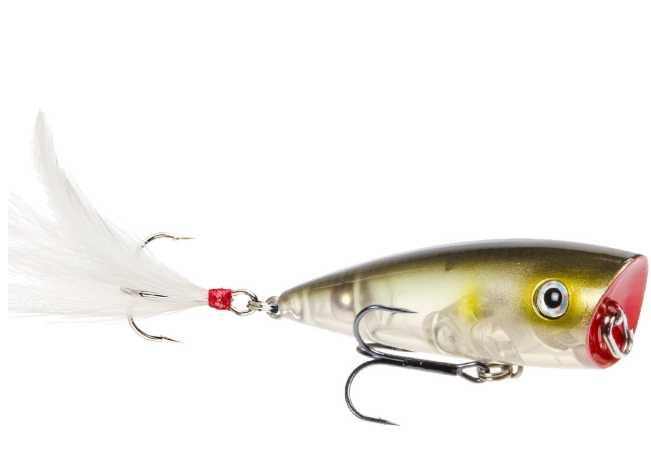 Strike King KVD Splash Jr Topwater